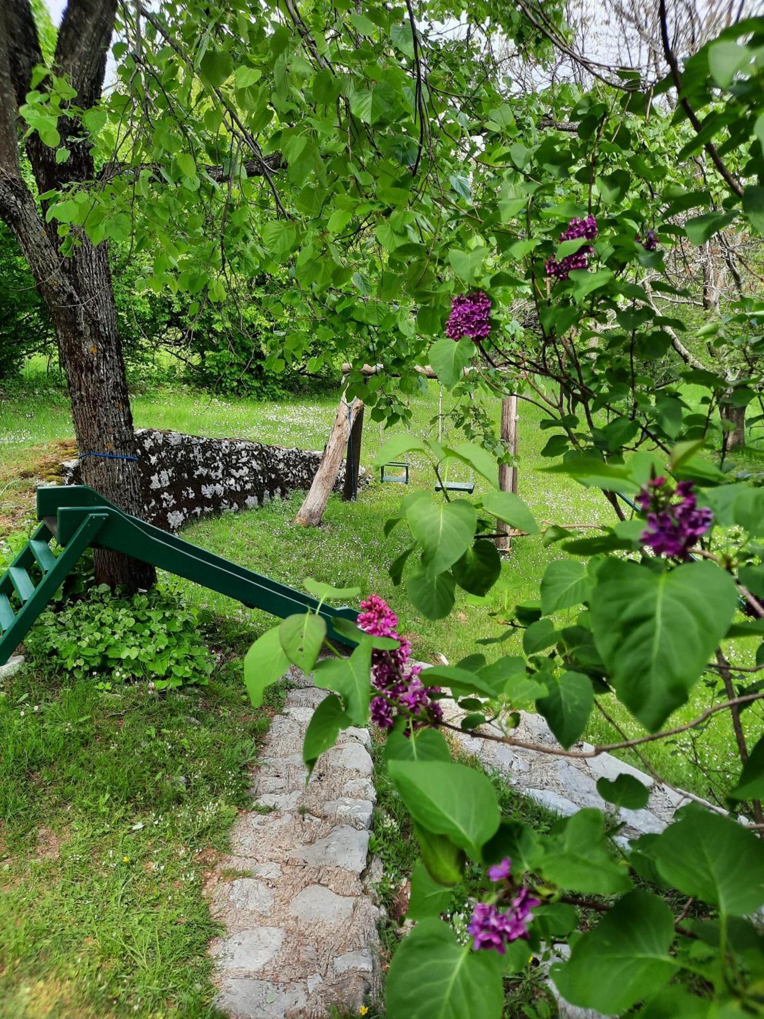 Lovcen4Me Villa Cetinje Exterior photo
